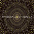 Review of Kaleidophonica      