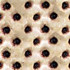 Review of Recyclopaedia Britannica