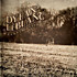Review of Paupers Field 