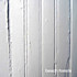 Review of Beach Fossils
