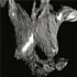 Review of Self Preserved While the Bodies Float Up