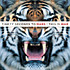 Review of This Is War