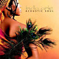 Review of Acoustic Soul