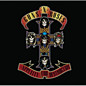 Review of Appetite for Destruction