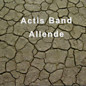 Review of Allende