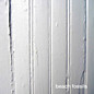 Review of Beach Fossils
