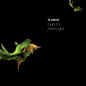 Review of Sylt Remixes