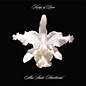 Review of Aha Shake Heartbreak