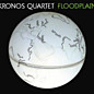 Review of Floodplain