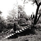 Review of Timber Timbre