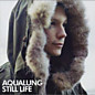 Review of Still Life