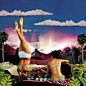 Review of Island Fire