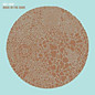 Review of Made In The Dark