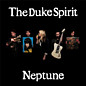 Review of Neptune