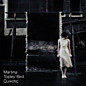 Review of Quixotic