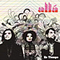 Review of Es Tiempo