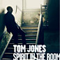 Review of Spirit in the Room