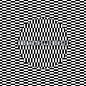 Review of Transverse