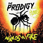 Review of World’s on Fire