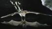 A greater bulldog bat skims the water's surface as it hunts