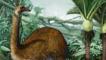 Giant moa in dense forest