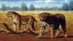 A pair of sabre-toothed cats walking on grassland