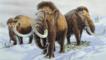 Woolly mammoths during the last Ice Age
