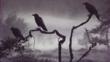 Crows on tree branches in fog