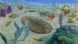 Ediacaran period