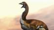 The extinct flightless elephant bird lived in Madagascar until around the 16th century.