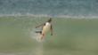 Gentoo penguin surfing into shore on a wave