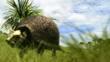 A large prehistoric glyptodont walking through grassland
