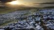 Limestone pavements