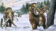 A pair of woolly mammoths in their natural habitat