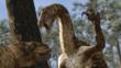 Nothronychus with claws raised in defence