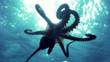 Octopus parachutes down though the water onto prey