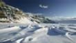 Polar