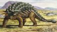 Ankylosaurus armed with thick skin, bony plates and a club like tail