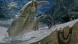Cambrian period