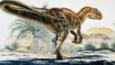 Carcharodontosaurus, a huge carnivore from the Upper Cretaceous period