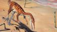 Coelophysis walking on sand