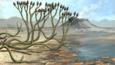 Devonian period