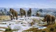 Ice age