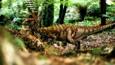 Leaellynasaura showing their camouflaged skin in a forest
