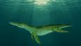 A large pliosaur that lived during the Lower Cretaceous Period