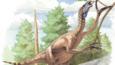 Therizinosaurus cheloniformis a dinosaur that lived in Mongolia, Khazakhstan and Transbaykalia during the late Cretaceous