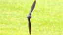 Barn swallow flying through a barn window
