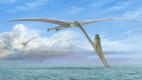 Pterosaur