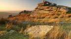 Bodmin Moor in late evening light