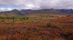 Alaskan tundra in autumn colours
